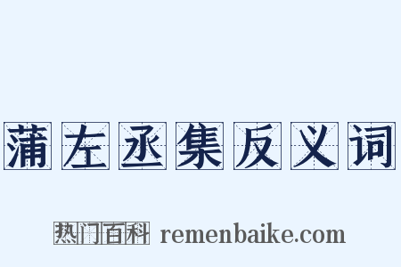 蒲左丞集反义词是什么意思的图片